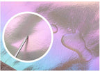 Iridescent Pearl Gym Bag ,Holographic Shiny