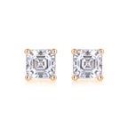 S925 Silver And Platinum-plated Stud Earrings,